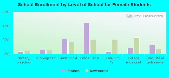 School Enrollment by Level of School for Female Students