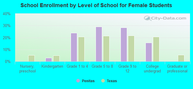 School Enrollment by Level of School for Female Students