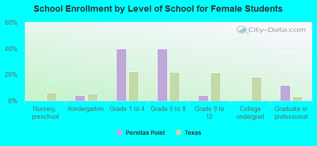 School Enrollment by Level of School for Female Students