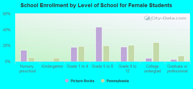 School Enrollment by Level of School for Female Students