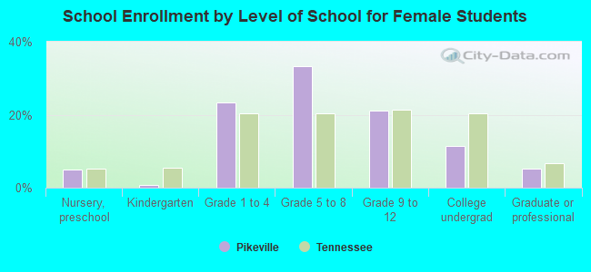 School Enrollment by Level of School for Female Students