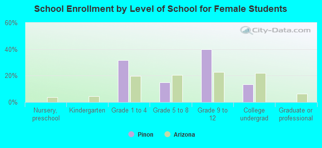 School Enrollment by Level of School for Female Students