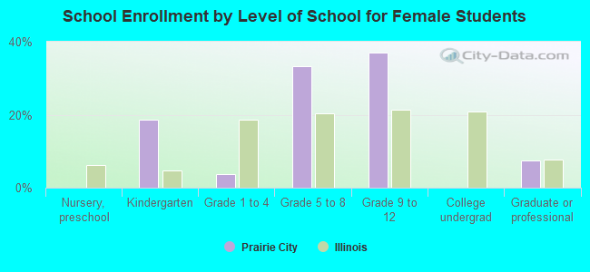 School Enrollment by Level of School for Female Students