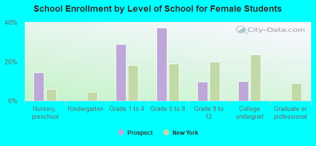 School Enrollment by Level of School for Female Students