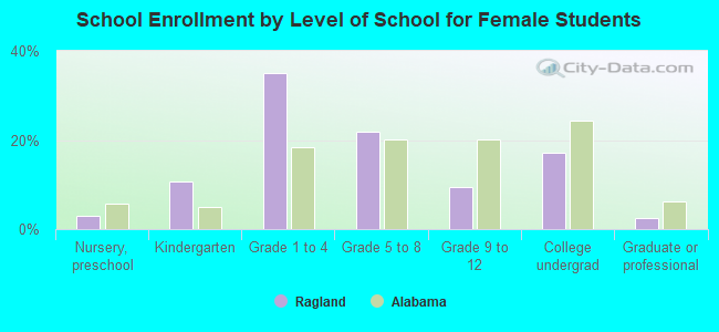 School Enrollment by Level of School for Female Students