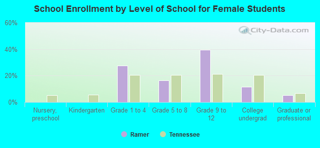 School Enrollment by Level of School for Female Students