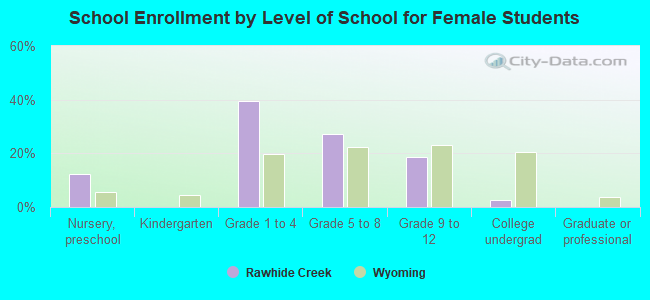 School Enrollment by Level of School for Female Students