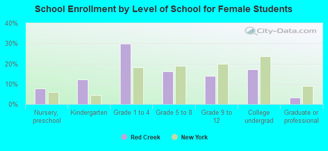 School Enrollment by Level of School for Female Students