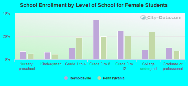 School Enrollment by Level of School for Female Students