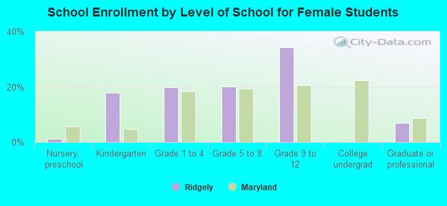 School Enrollment by Level of School for Female Students