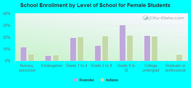 School Enrollment by Level of School for Female Students