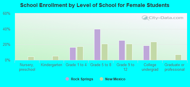 School Enrollment by Level of School for Female Students