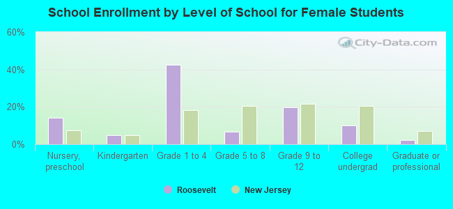 School Enrollment by Level of School for Female Students