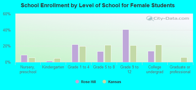 School Enrollment by Level of School for Female Students