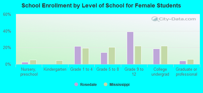 School Enrollment by Level of School for Female Students