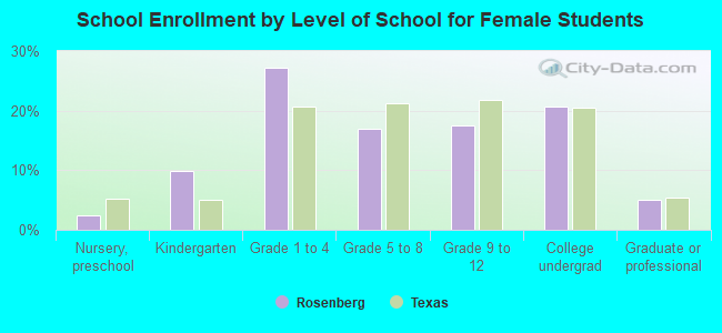 School Enrollment by Level of School for Female Students