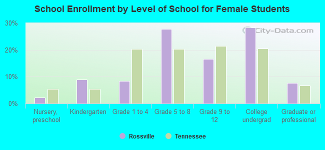 School Enrollment by Level of School for Female Students