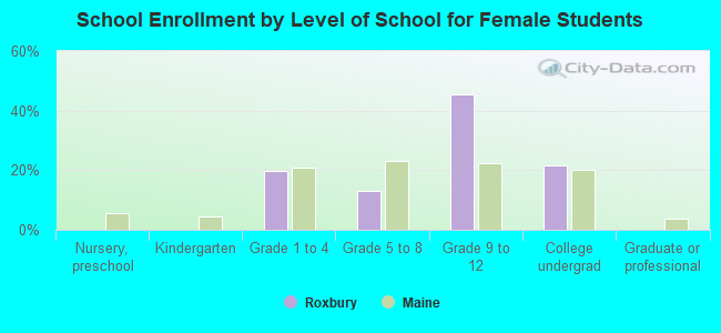 School Enrollment by Level of School for Female Students