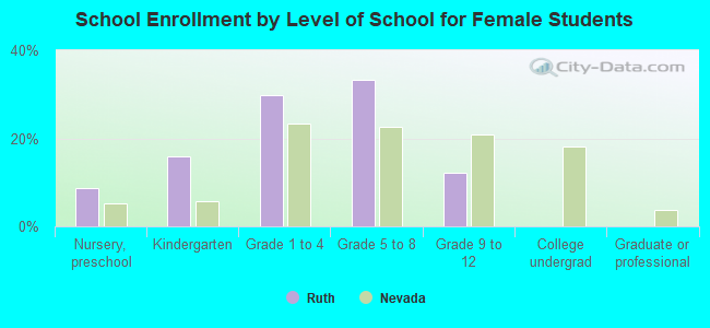 School Enrollment by Level of School for Female Students