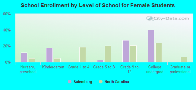 School Enrollment by Level of School for Female Students