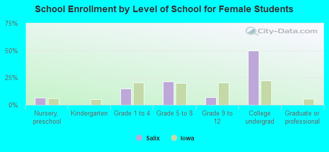 School Enrollment by Level of School for Female Students