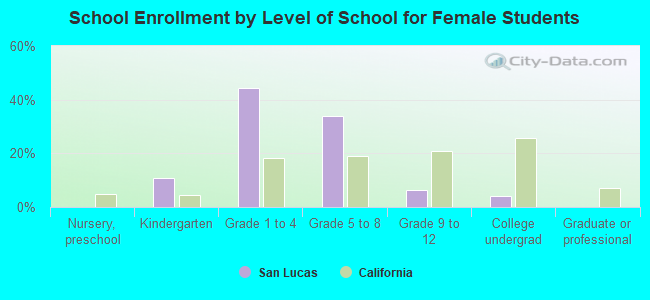 School Enrollment by Level of School for Female Students