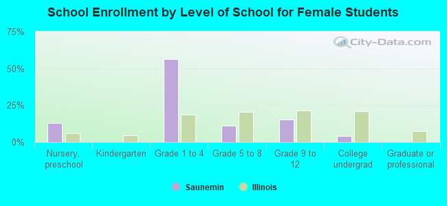 School Enrollment by Level of School for Female Students