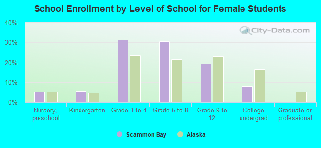 School Enrollment by Level of School for Female Students