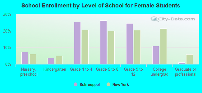 School Enrollment by Level of School for Female Students