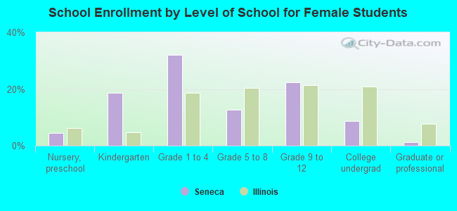 School Enrollment by Level of School for Female Students