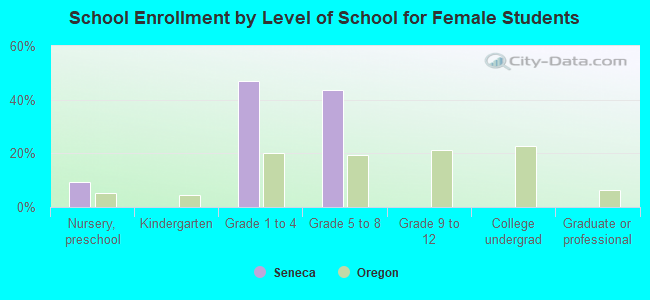 School Enrollment by Level of School for Female Students