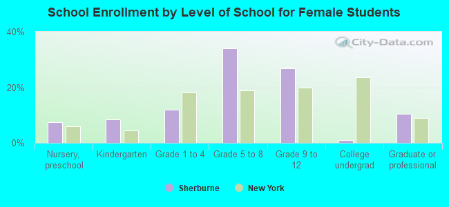 School Enrollment by Level of School for Female Students