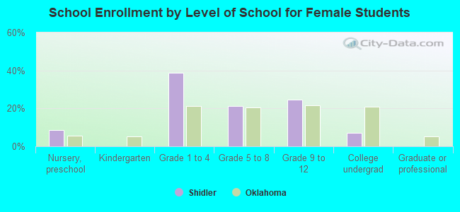 School Enrollment by Level of School for Female Students