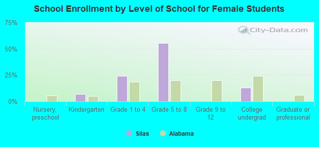 School Enrollment by Level of School for Female Students