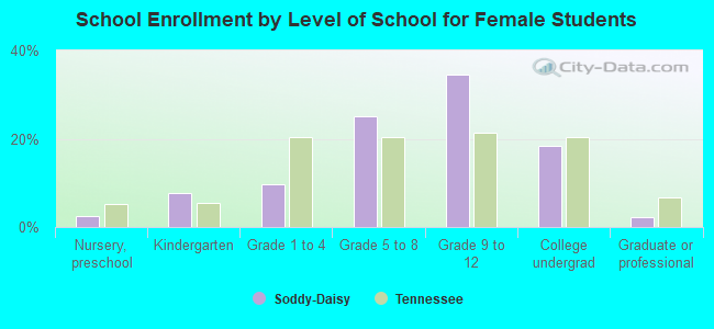 School Enrollment by Level of School for Female Students