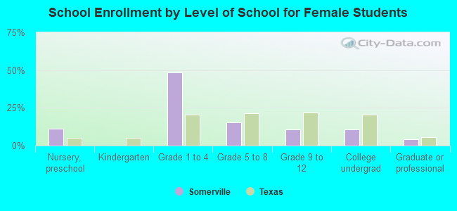 School Enrollment by Level of School for Female Students