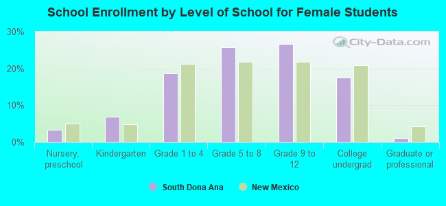 School Enrollment by Level of School for Female Students