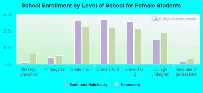 School Enrollment by Level of School for Female Students