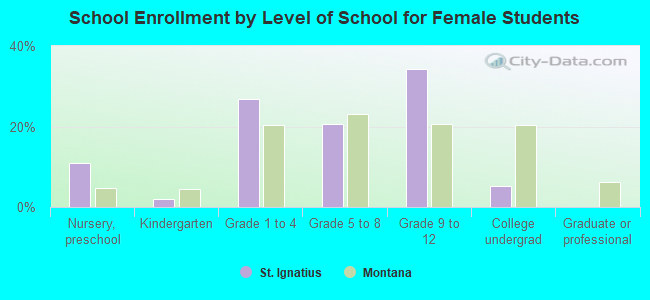 School Enrollment by Level of School for Female Students