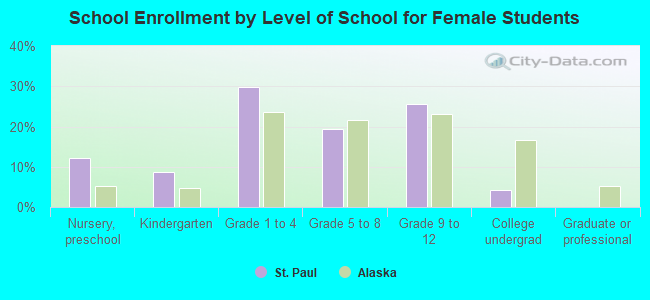 School Enrollment by Level of School for Female Students