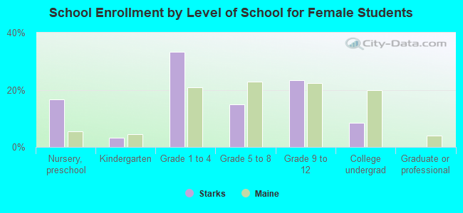 School Enrollment by Level of School for Female Students