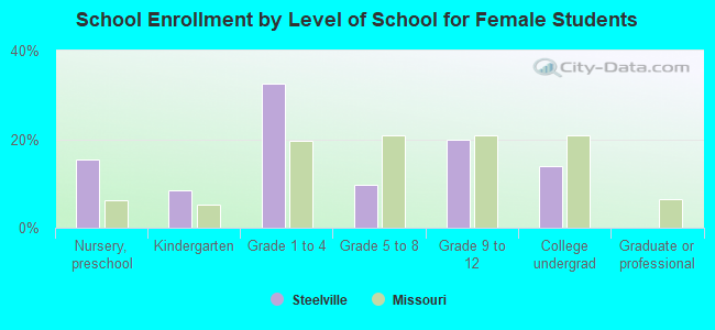 School Enrollment by Level of School for Female Students