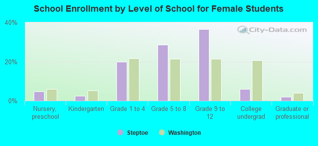 School Enrollment by Level of School for Female Students