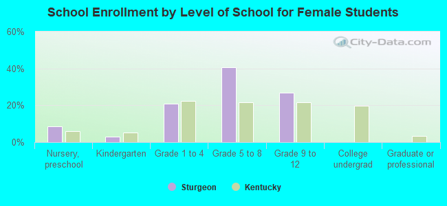 School Enrollment by Level of School for Female Students