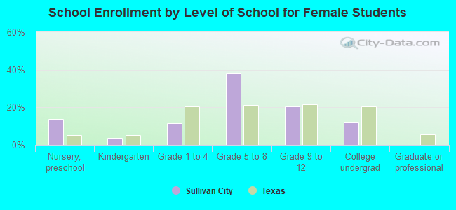 School Enrollment by Level of School for Female Students