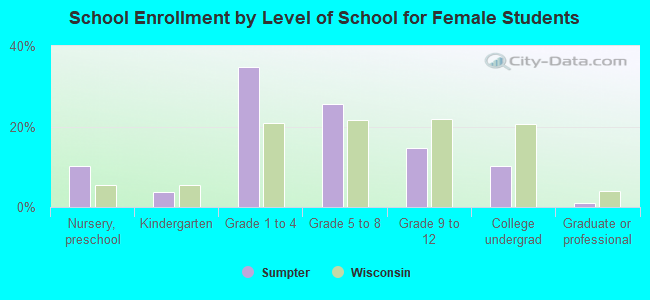 School Enrollment by Level of School for Female Students