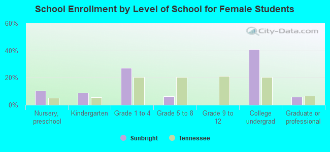 School Enrollment by Level of School for Female Students