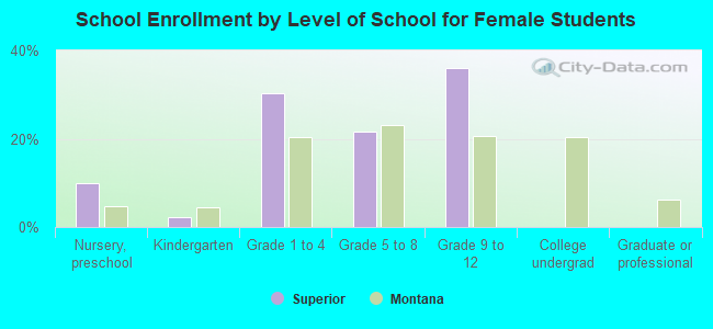 School Enrollment by Level of School for Female Students