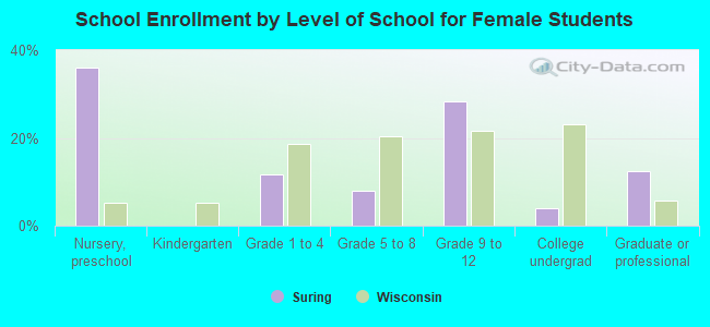 School Enrollment by Level of School for Female Students