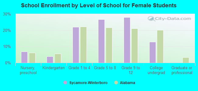 School Enrollment by Level of School for Female Students